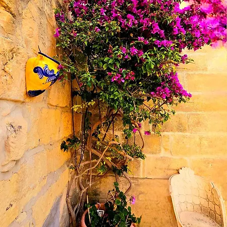 Traditional Gozo بيت للعطل